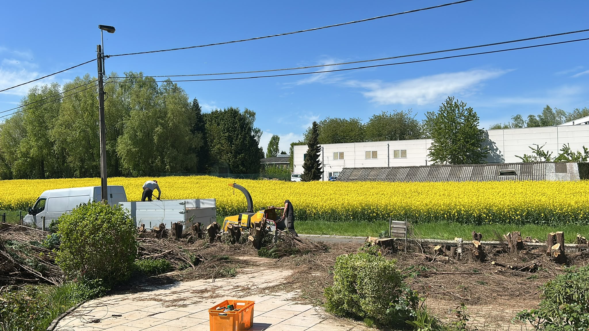 Groene tuin