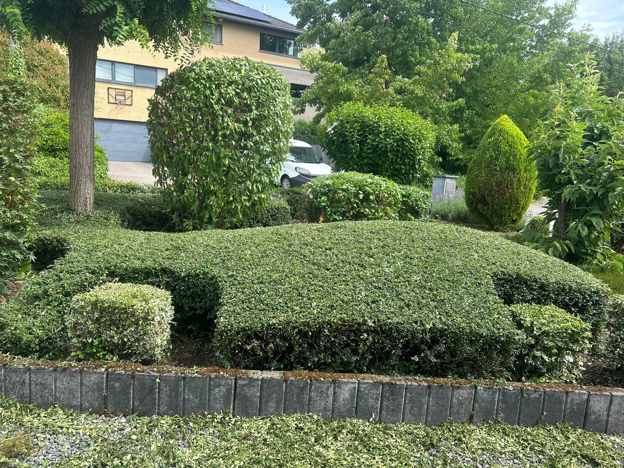 Beplanting